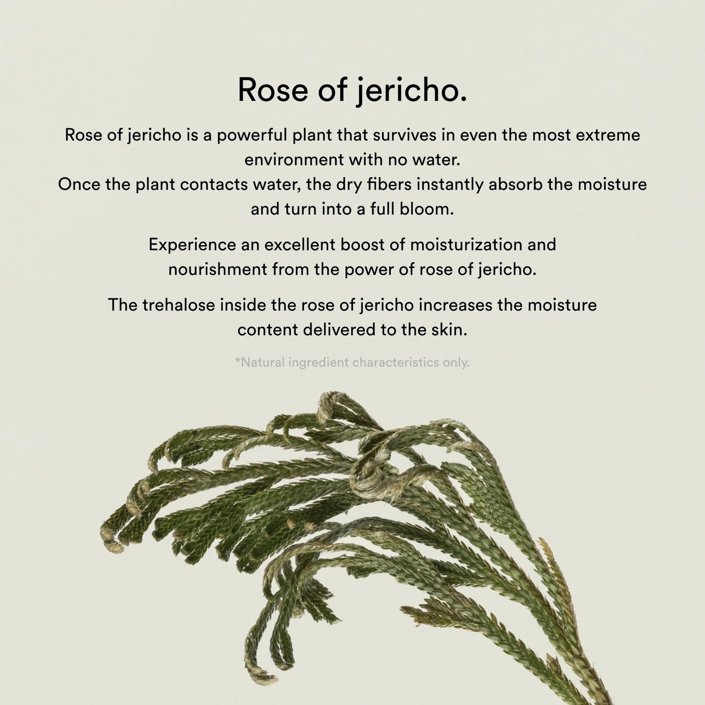 Abib Collagen Gel Mask Jericho Rose Jelly