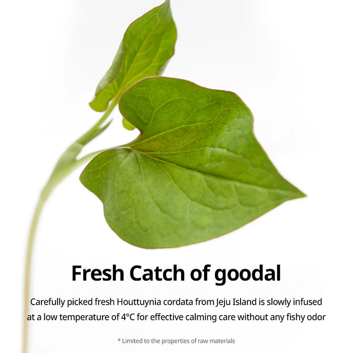 GOODAL HOUTTUYNIA CORDATA CALMING MASK