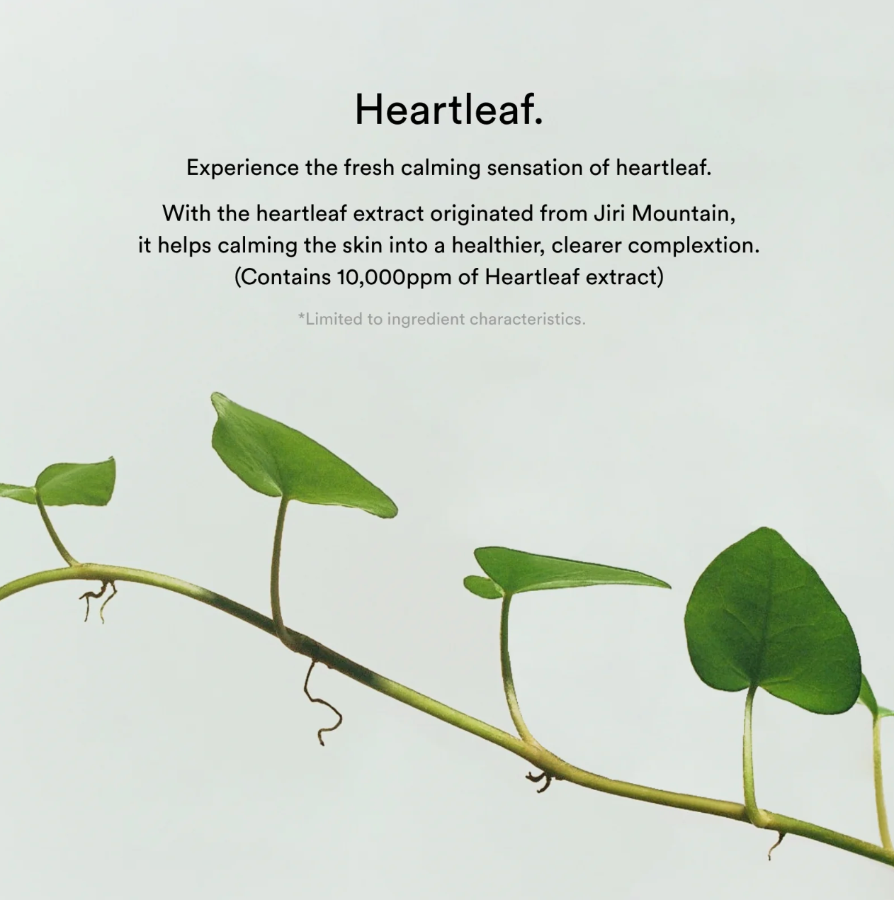 Abib Collagen Gel Mask Heartleaf Jelly