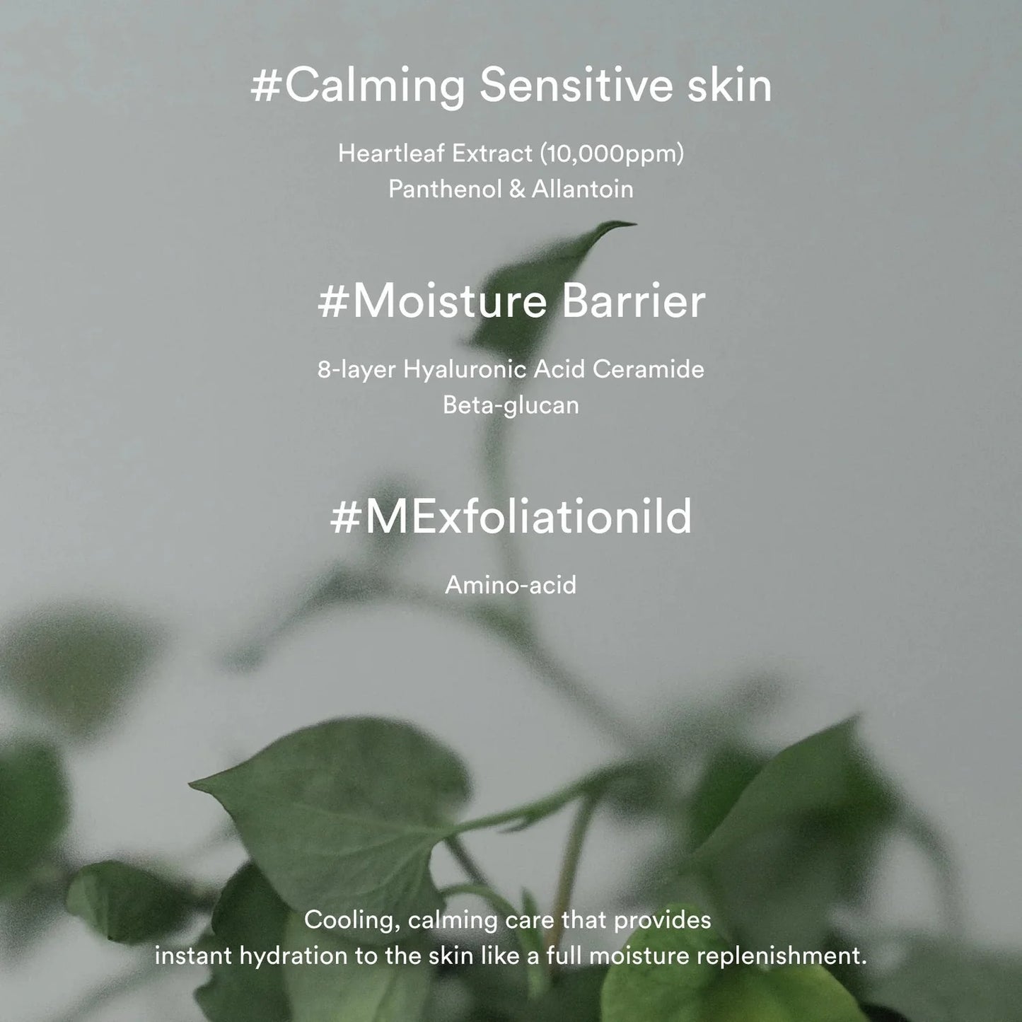 Abib Houttuynia cordata cream - Calming tube 75ML