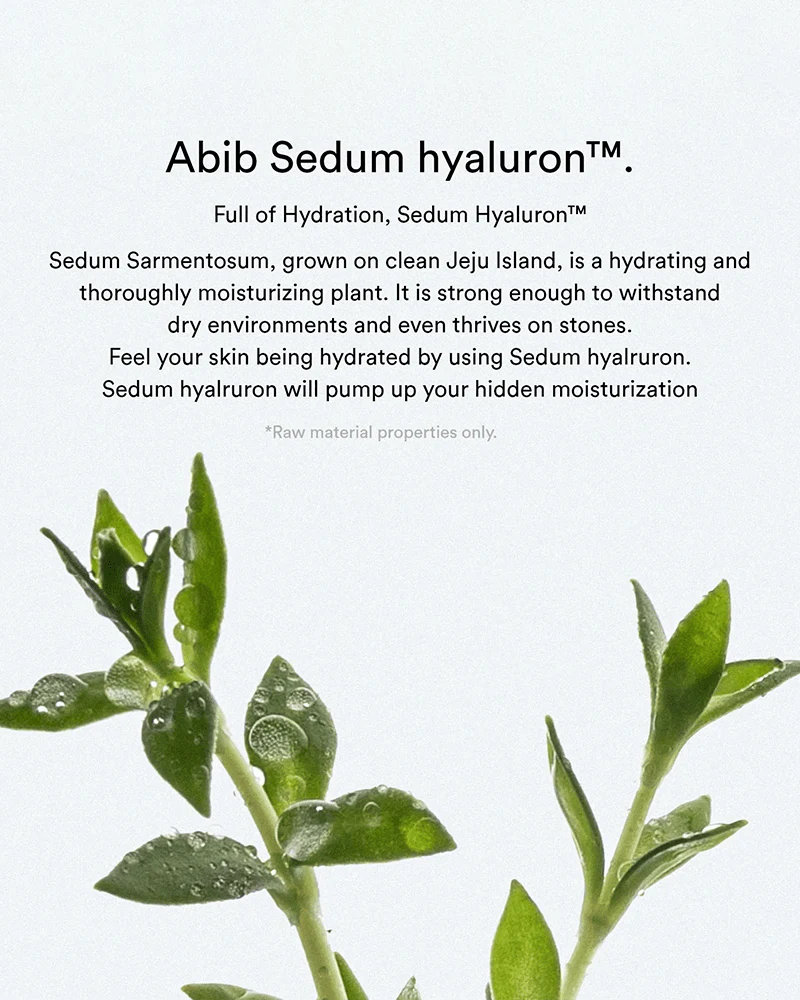 Abib Moisturizing Super Hyaluronic Cream - Hydrating Pot 80ML